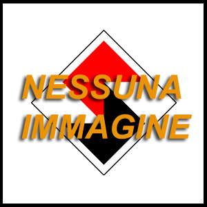 Sega a nastro per legno WOODSTAR 500mm